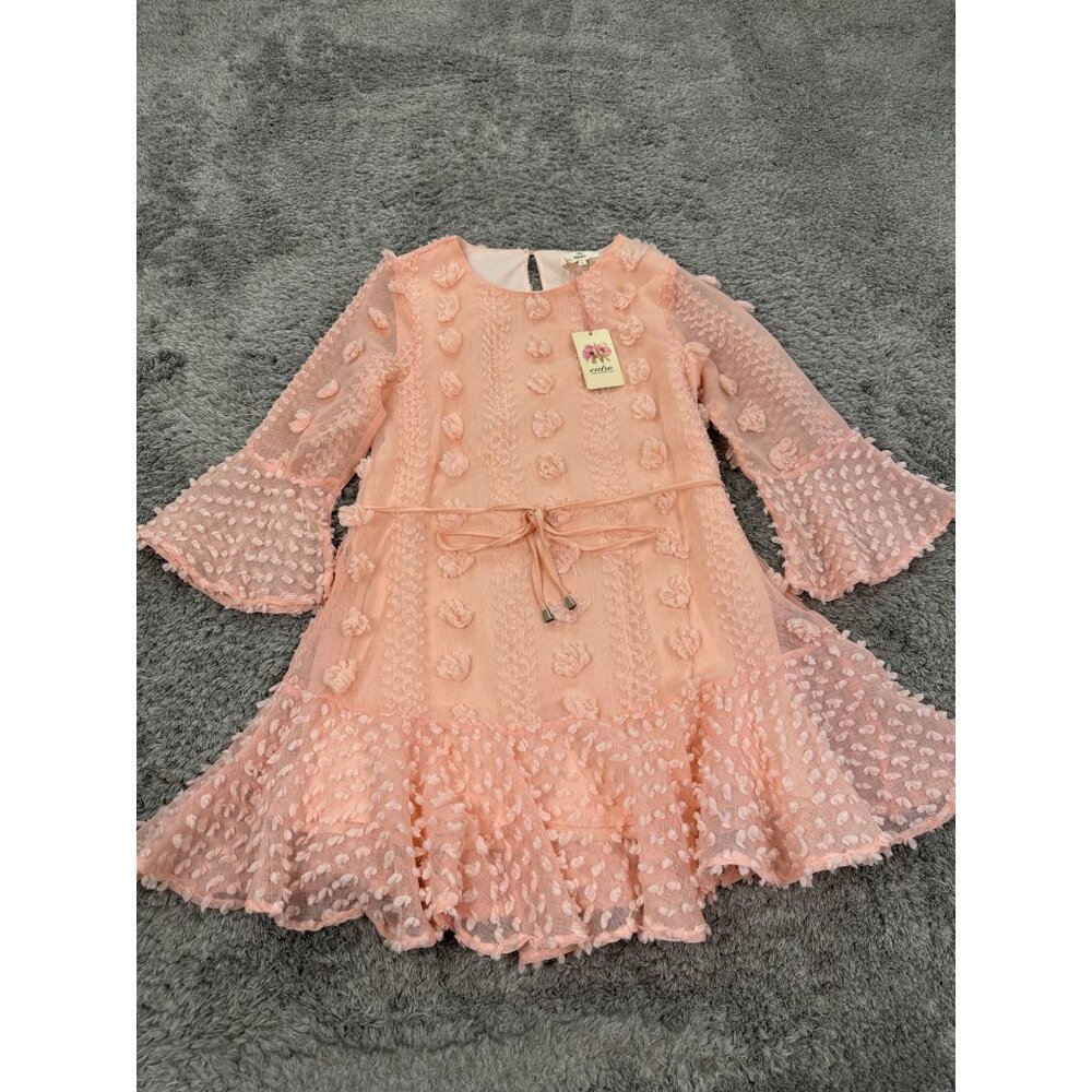 Entro Dress Womens Small Pink Pompom Tiered Boho Ruffle Flare Cottage Mini NWT